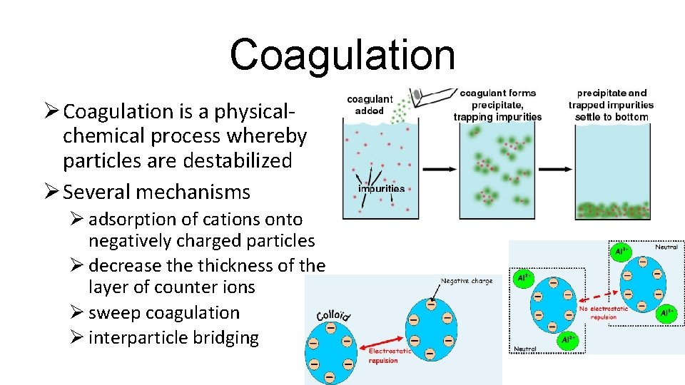 Coagulation Ø Coagulation is a physicalchemical process whereby particles are destabilized Ø Several mechanisms