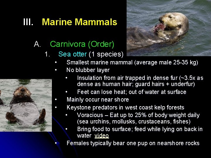 III. Marine Mammals A. Carnivora (Order) 1. Sea otter (1 species) • • •