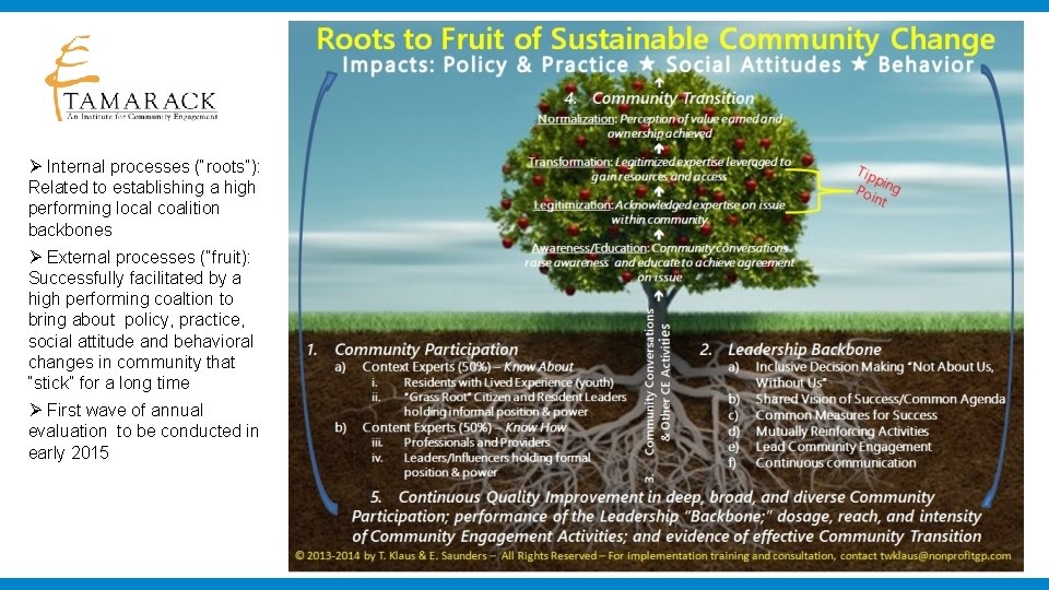 Ø Internal processes (“roots”): Related to establishing a high performing local coalition backbones Ø