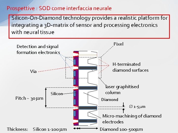 Prospettive : SOD come interfaccia neurale Silicon-On-Diamond technology provides a realistic platform for integrating