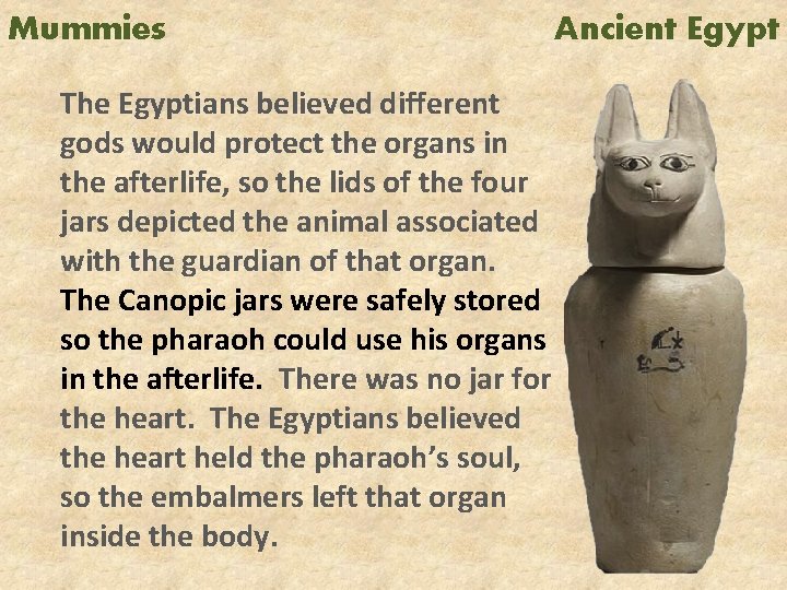 Mummies The Egyptians believed different gods would protect the organs in the afterlife, so