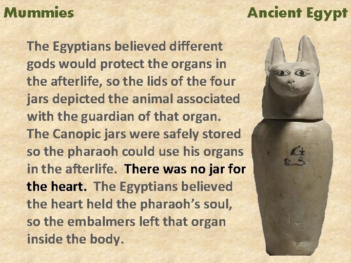 Mummies The Egyptians believed different gods would protect the organs in the afterlife, so