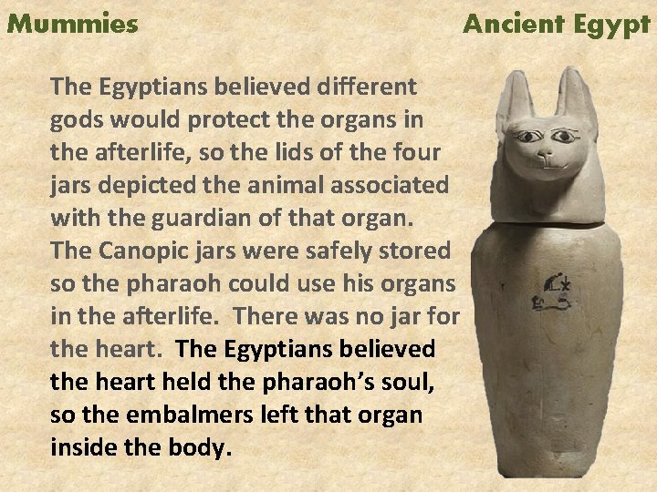 Mummies The Egyptians believed different gods would protect the organs in the afterlife, so