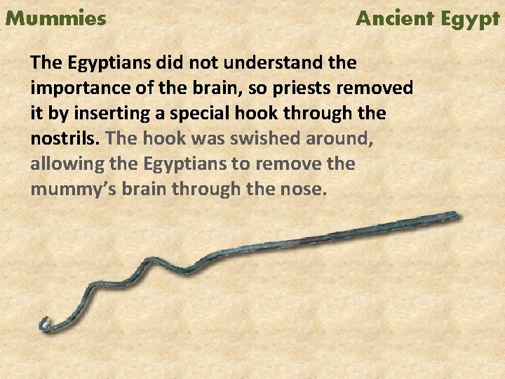 Mummies Ancient Egypt The Egyptians did not understand the importance of the brain, so