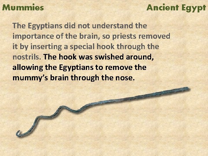 Mummies Ancient Egypt The Egyptians did not understand the importance of the brain, so