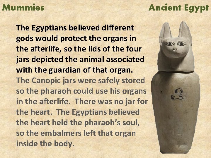 Mummies The Egyptians believed different gods would protect the organs in the afterlife, so