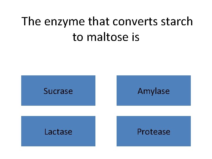 The enzyme that converts starch to maltose is Sucrase Amylase Lactase Protease 