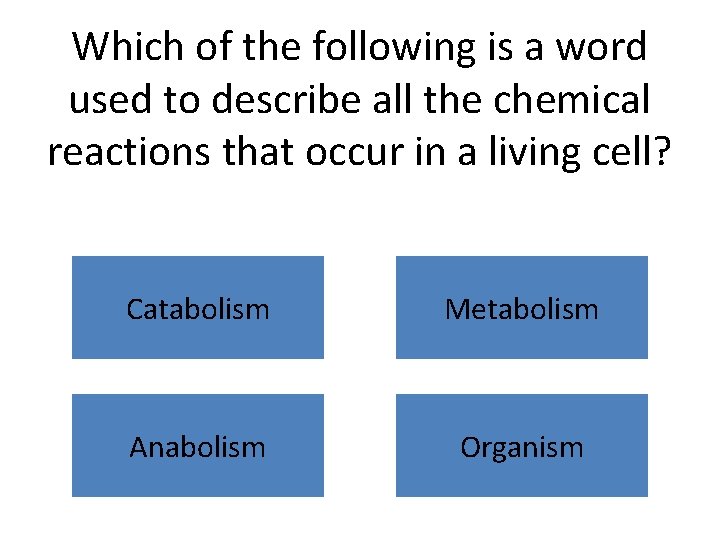 Which of the following is a word used to describe all the chemical reactions