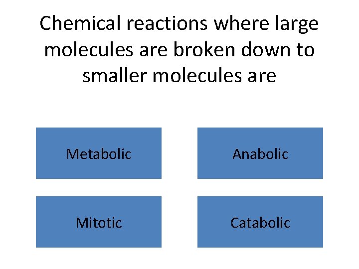 Leaving Certificate Biology Enzymes FIRST In Power Point
