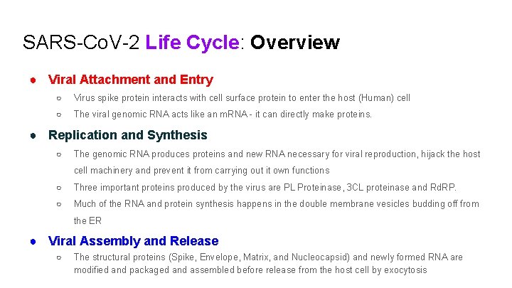 SARS-Co. V-2 Life Cycle: Overview ● Viral Attachment and Entry ○ Virus spike protein