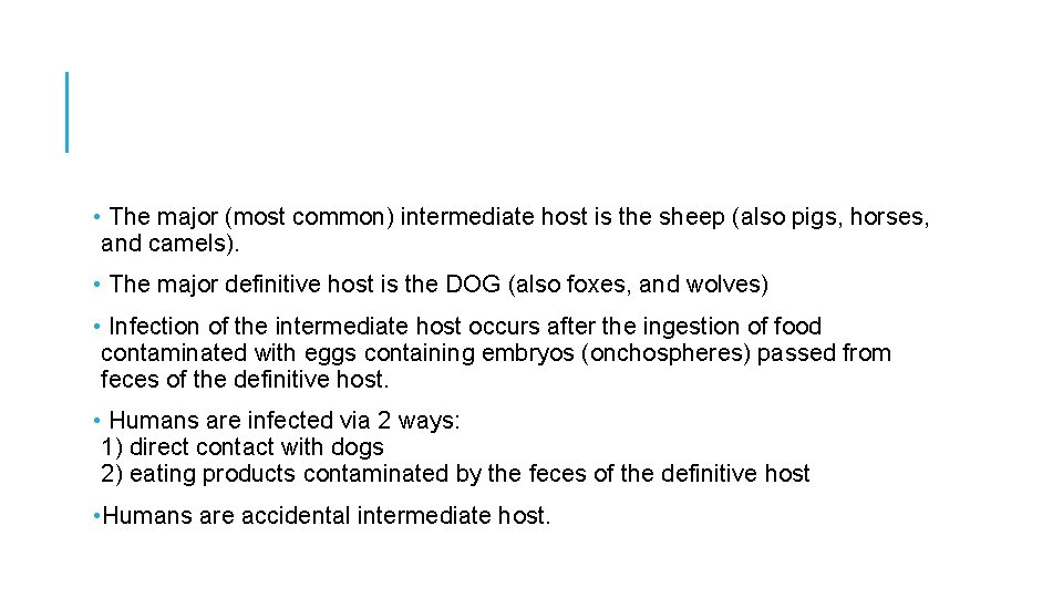  • The major (most common) intermediate host is the sheep (also pigs, horses,