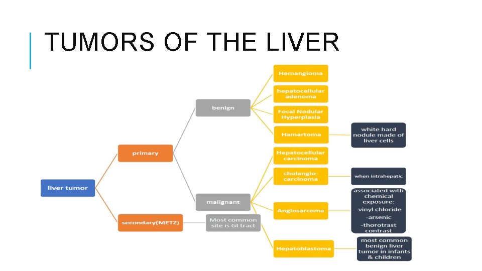 TUMORS OF THE LIVER 
