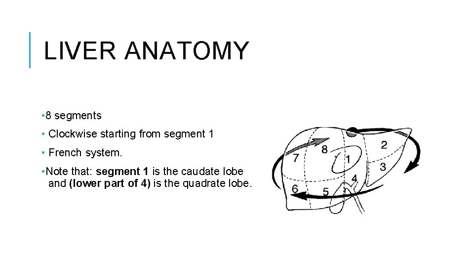 LIVER ANATOMY • 8 segments • Clockwise starting from segment 1 • French system.