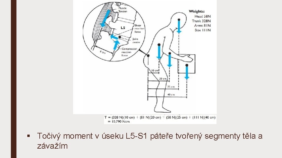 § Točivý moment v úseku L 5 -S 1 páteře tvořený segmenty těla a