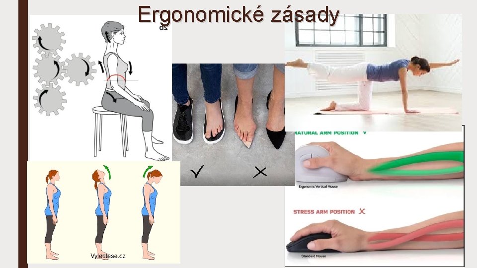 Ergonomické zásady 