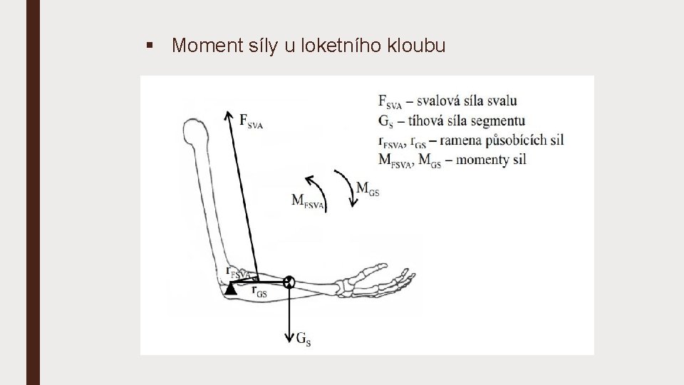 § Moment síly u loketního kloubu 