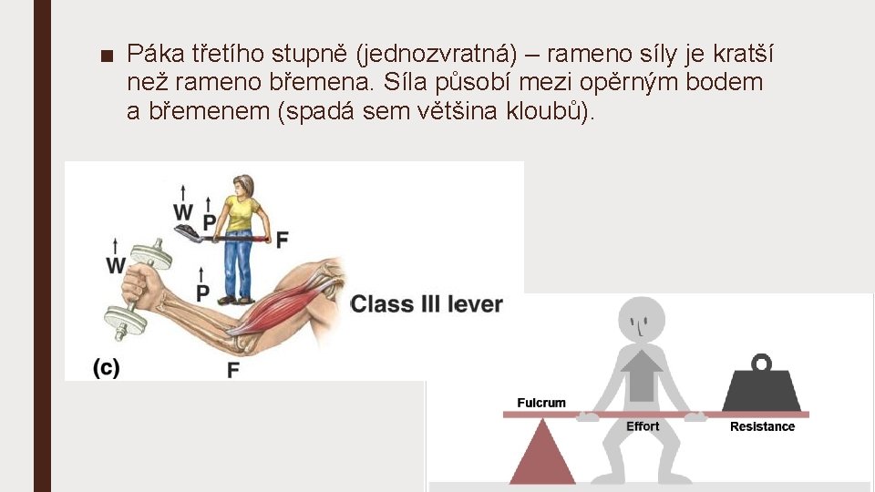 ■ Páka třetího stupně (jednozvratná) – rameno síly je kratší než rameno břemena. Síla