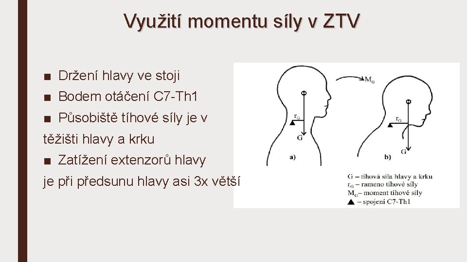 Využití momentu síly v ZTV ■ Držení hlavy ve stoji ■ Bodem otáčení C