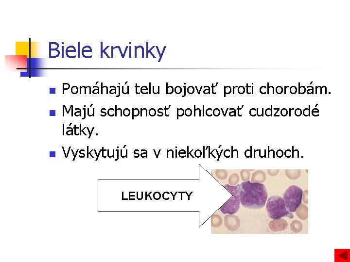 Biele krvinky n n n Pomáhajú telu bojovať proti chorobám. Majú schopnosť pohlcovať cudzorodé