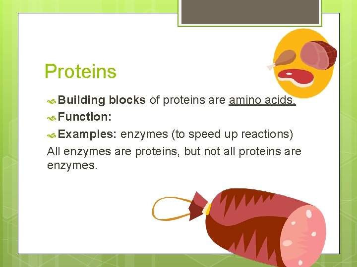 Proteins Building blocks of proteins are amino acids. Function: Examples: enzymes (to speed up