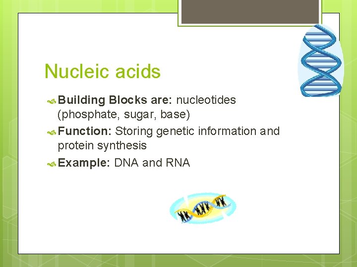 Nucleic acids Building Blocks are: nucleotides (phosphate, sugar, base) Function: Storing genetic information and