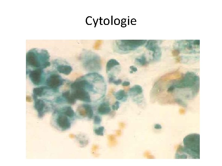 Cytologie 