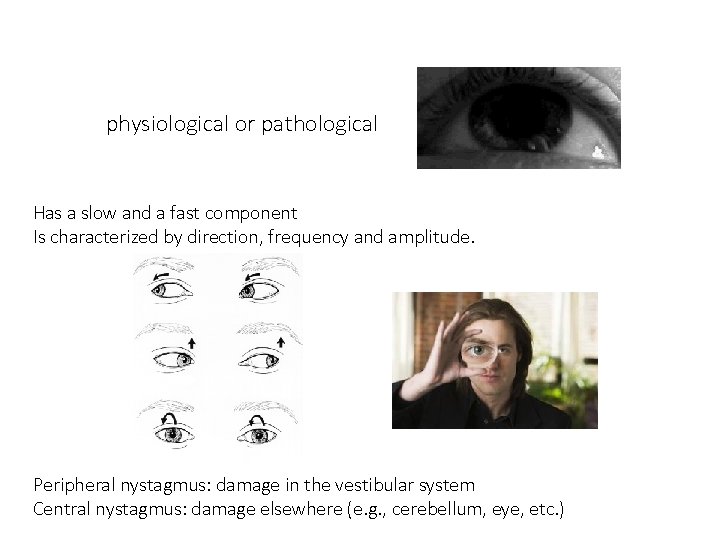 physiological or pathological Has a slow and a fast component Is characterized by direction,