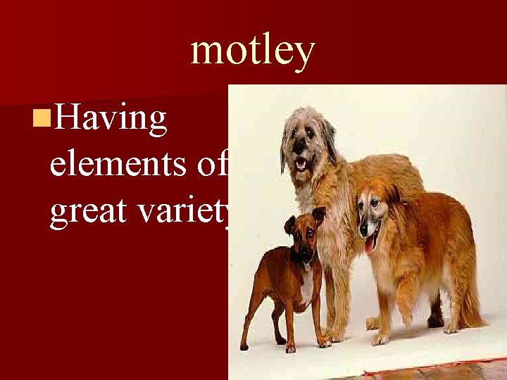 motley n. Having elements of great variety 