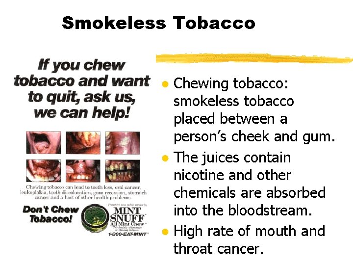 Smokeless Tobacco ● Chewing tobacco: smokeless tobacco placed between a person’s cheek and gum.