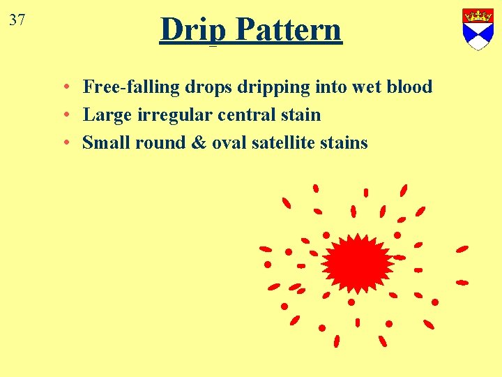 37 Drip Pattern • Free-falling drops dripping into wet blood • Large irregular central