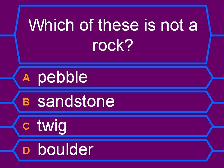 Which of these is not a rock? A B C D pebble sandstone twig