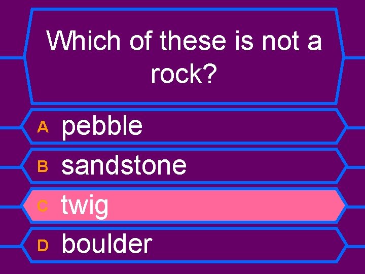 Which of these is not a rock? A B C D pebble sandstone twig