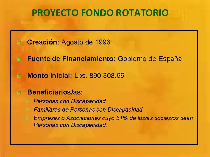 PROYECTO FONDO ROTATORIO Creación: Agosto de 1996 Fuente de Financiamiento: Gobierno de España Monto