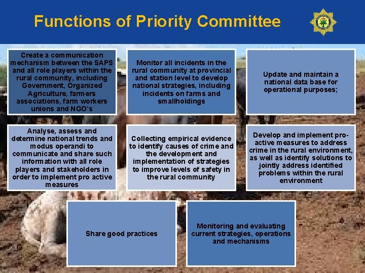 Functions of Priority Committee Create a communication mechanism between the SAPS and all role