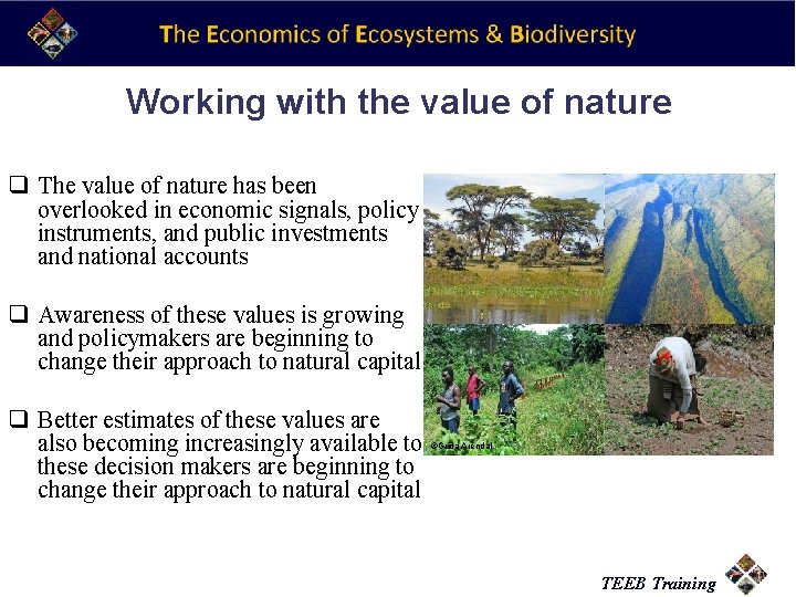 Working with the value of nature q The value of nature has been overlooked