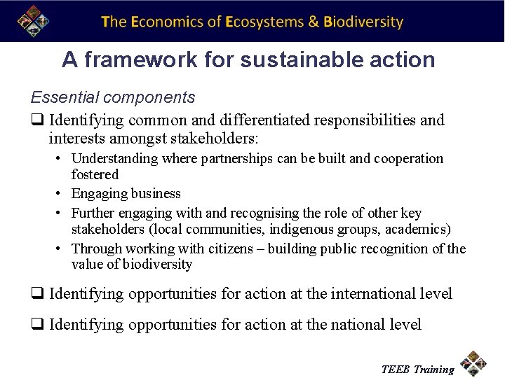 A framework for sustainable action Essential components q Identifying common and differentiated responsibilities and