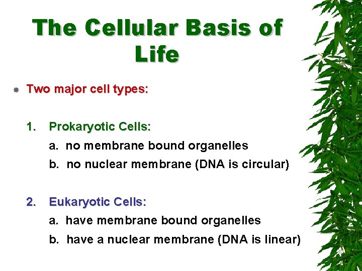 The Cellular Basis of Life Two major cell types: 1. Prokaryotic Cells: a. no