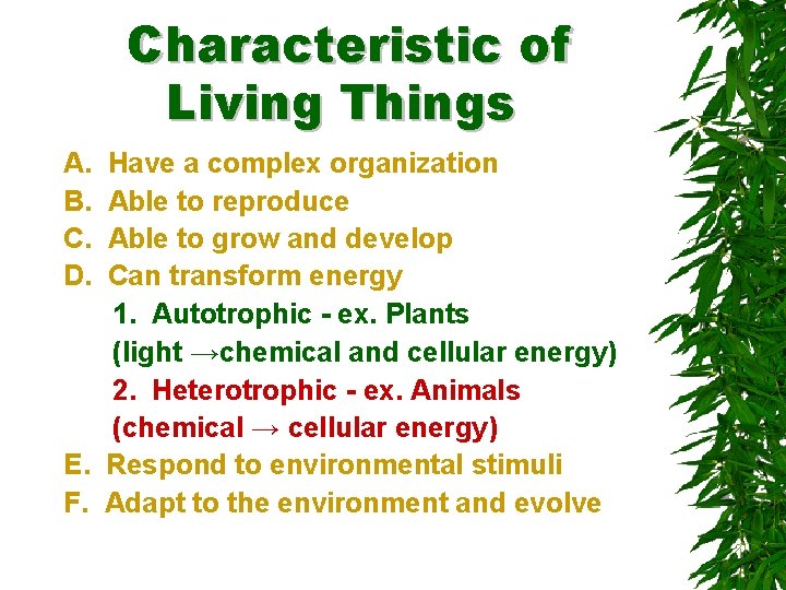 Characteristic of Living Things A. B. C. D. Have a complex organization Able to