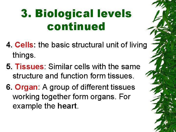3. Biological levels continued 4. Cells: the basic structural unit of living things. 5.
