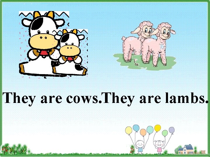 They are cows. They are lambs. 