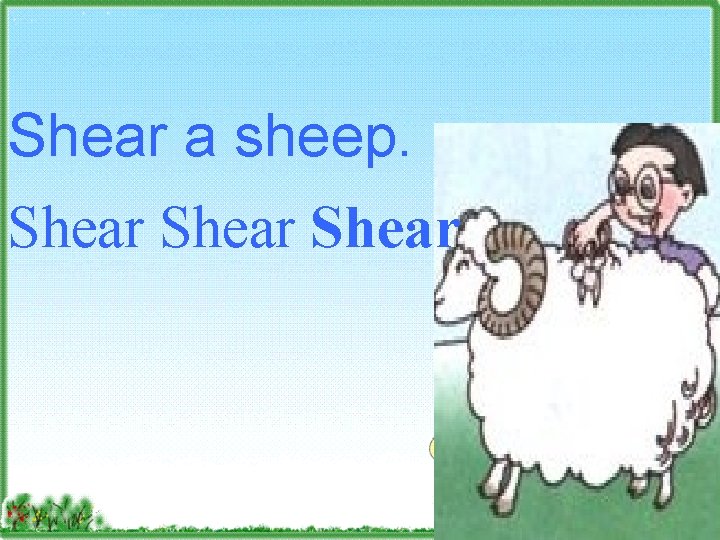 Shear a sheep. Shear 