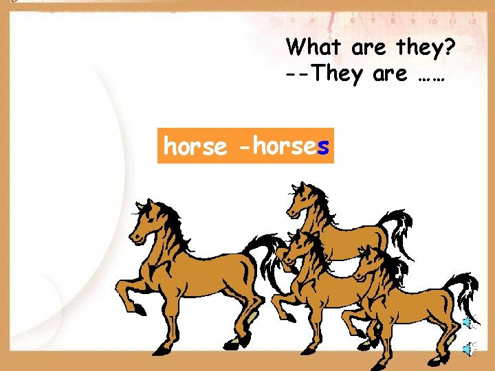 What are they? --They are …… horse -horses 