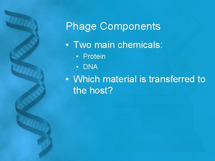 Phage Components • Two main chemicals: • Protein • DNA • Which material is