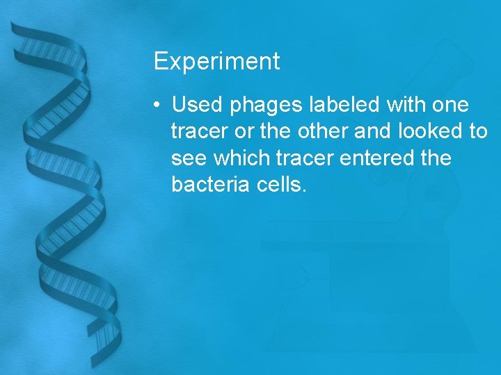 Experiment • Used phages labeled with one tracer or the other and looked to