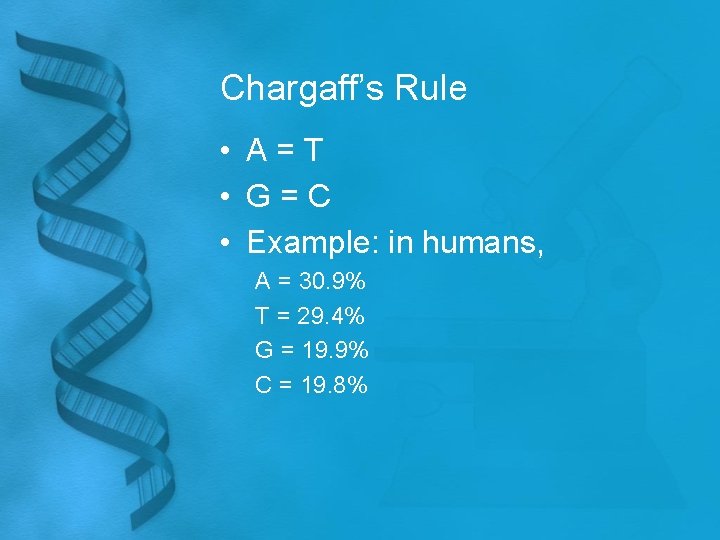 Chargaff’s Rule • A=T • G=C • Example: in humans, A = 30. 9%