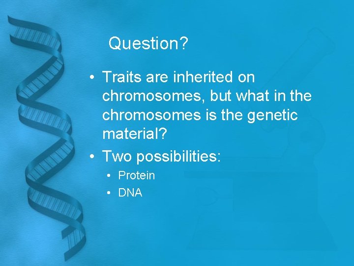 Question? • Traits are inherited on chromosomes, but what in the chromosomes is the