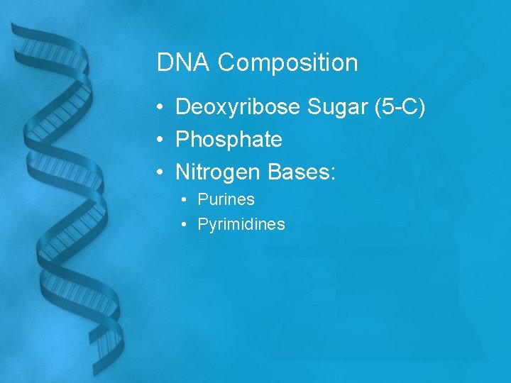 DNA Composition • Deoxyribose Sugar (5 -C) • Phosphate • Nitrogen Bases: • Purines