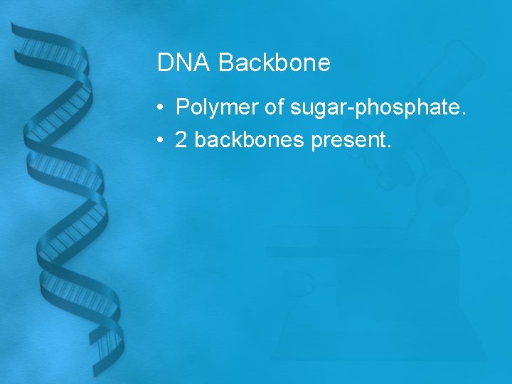 DNA Backbone • Polymer of sugar-phosphate. • 2 backbones present. 