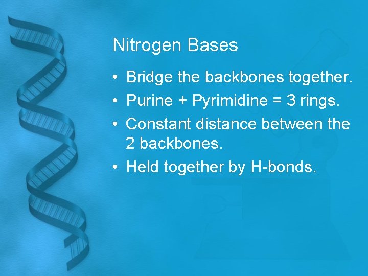 Nitrogen Bases • Bridge the backbones together. • Purine + Pyrimidine = 3 rings.