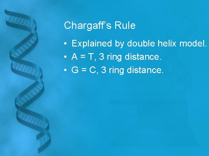 Chargaff’s Rule • Explained by double helix model. • A = T, 3 ring
